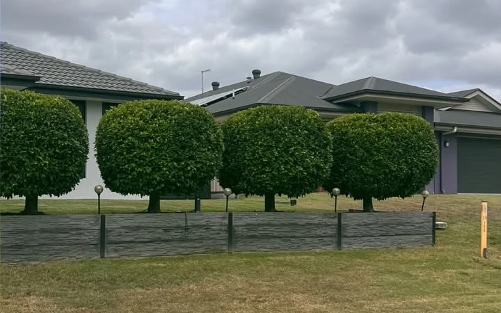 The same front-garden shrubs after hedge shaping in Ipswich