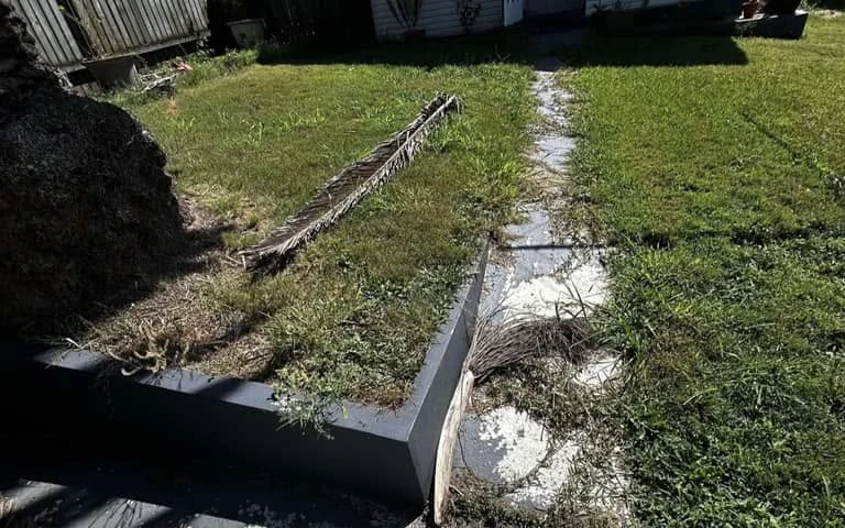 Long grass and palm debris beside a garden path before lawn mowing and edging in Ipswich