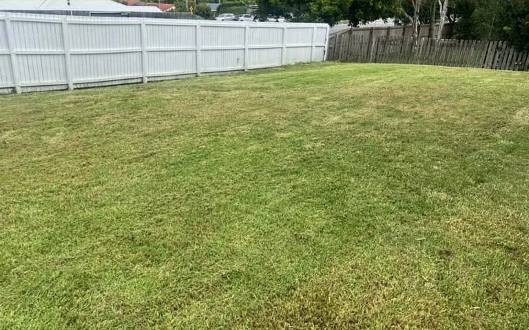 The same fenced yard with short, even grass after lawn mowing in Ipswich