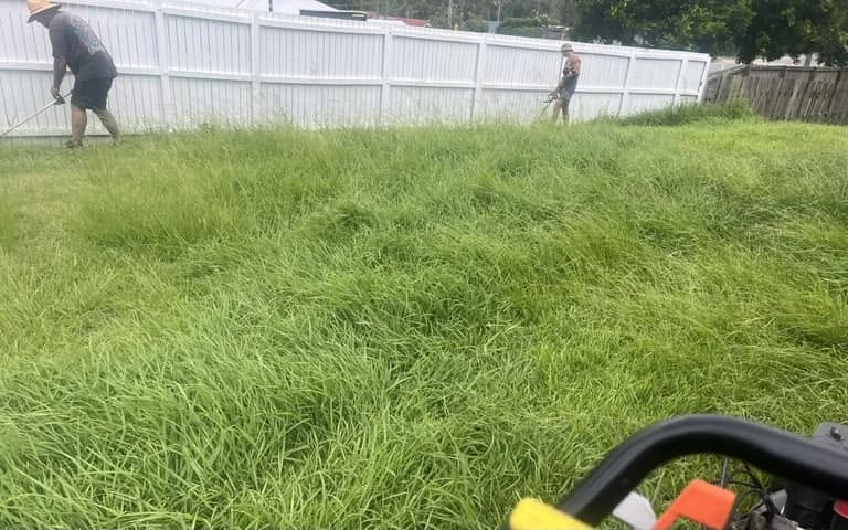 Two anonymous people using line trimmers in a long-grass yard before mowing in Ipswich